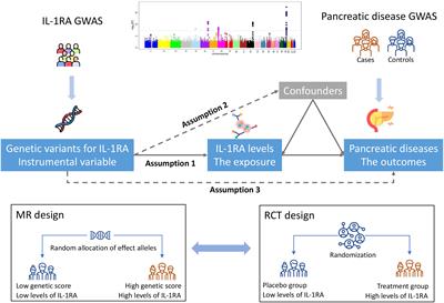 Therapeutic role of interleukin-1 receptor antagonist in pancreatic diseases: mendelian randomization study